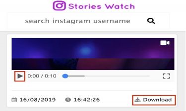 Instagram Story Downloader Web Online - Stories Watch
